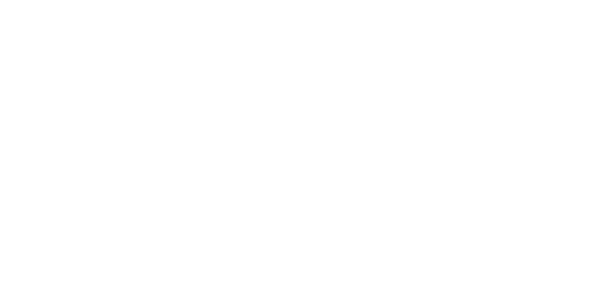Full Logo Without Slogan